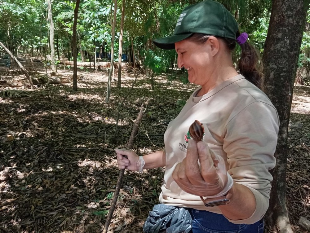 Agentes de endemias realizam controle populacional de caramujos no Bosque Uirapuru