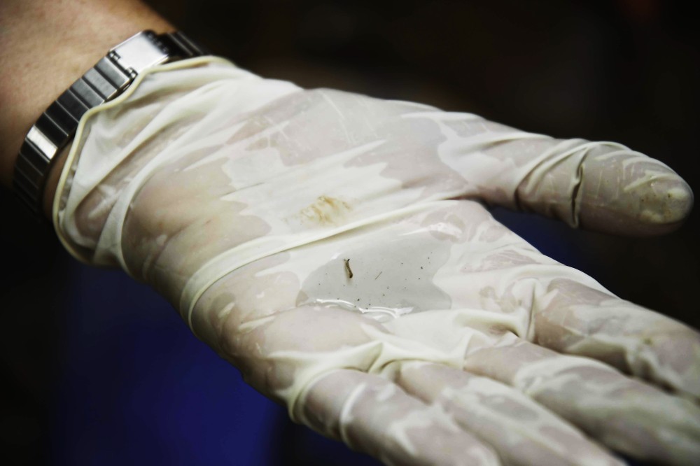 Levantamento de infestação do mosquito da dengue mostra bairros com alto risco