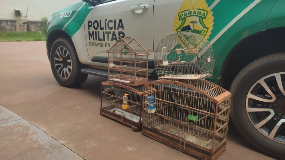 Polícia Ambiental apreende 12 aves silvestres durante operação em Umuarama e Goioerê