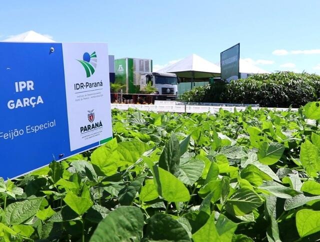 TCE determina que o Instituto de Desenvolvimento Rural do Paraná aprimore gestão contábil de bens imóveis