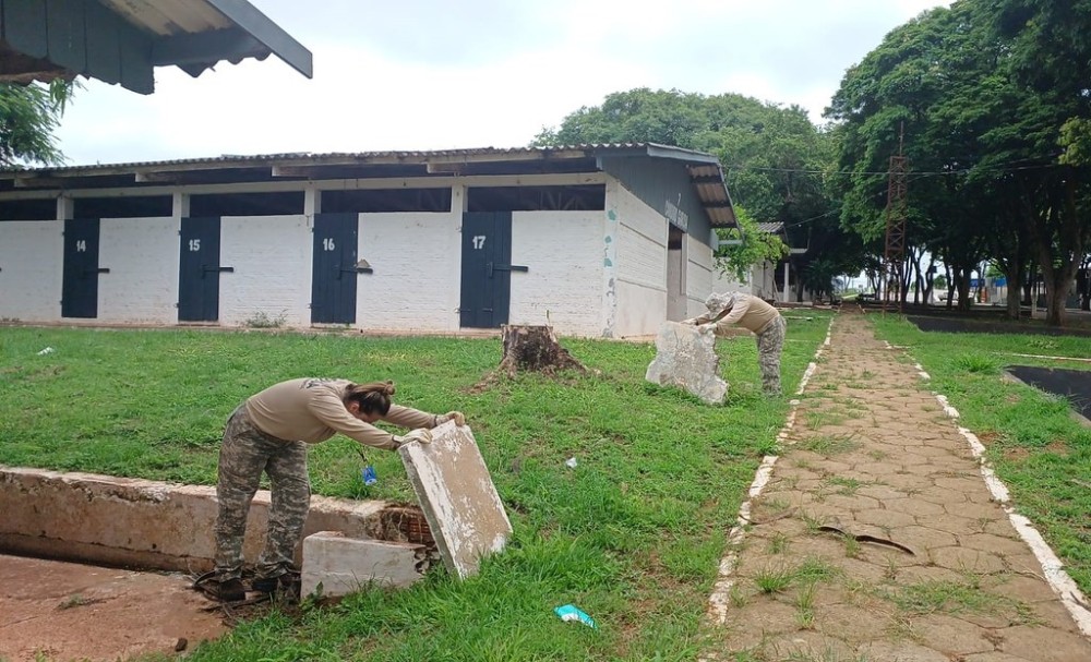 Varredura preventiva busca esconderijos de escorpiões no parque de exposições