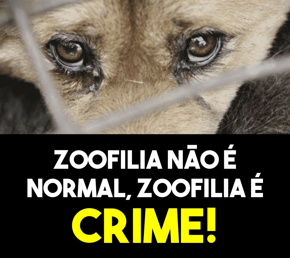 Investigado por zoofilia contra uma cachorra é preso a pedido da Polícia Civil e do MP