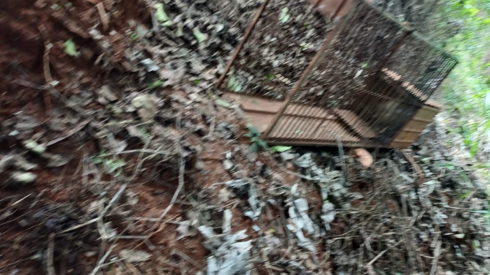 Armadilha deixada em ponto estratégico pelo IAT com a finalidade de capturar onça no Aratimbó