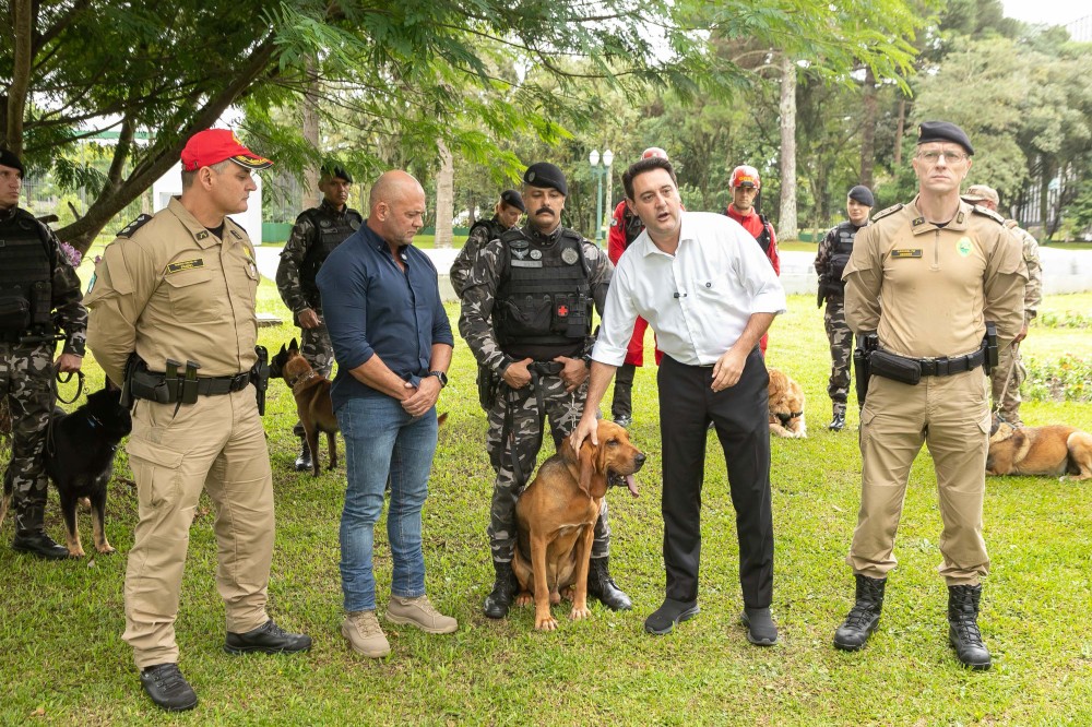 Governo do Paraná vai comprar 93 cães para reforçar atividades policiais e de salvamento