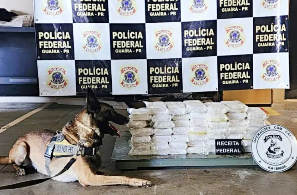 Traficante 'perde' 50 quilos de cocaína avaliados em mais de R$ 2 milhões