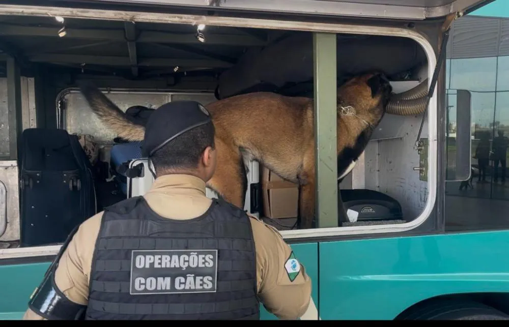 Operação Canis Fortis é realizada simultaneamente em todo o Estado