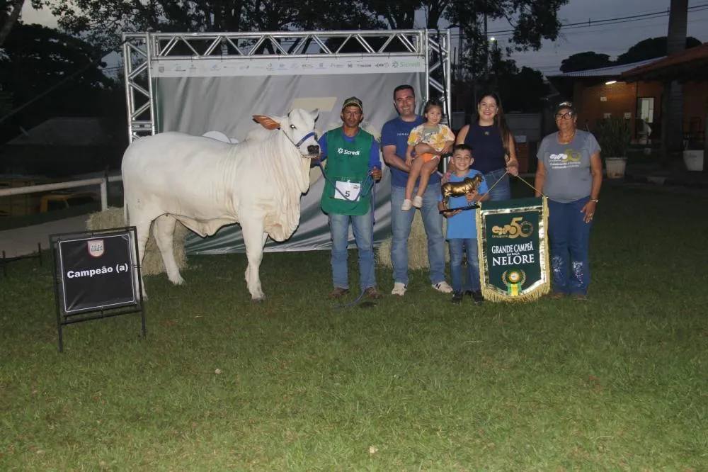 Assessoria/SRU