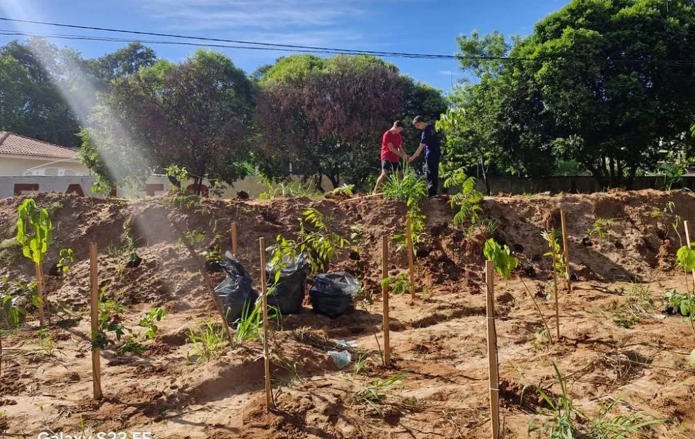 Plantio de mudas nativas celebra o Dia Nacional da Água em ação conjunta
