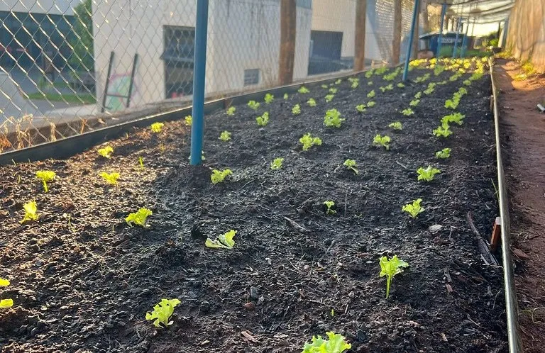 Projeto sustentável transforma óleo usado em sabão caseiro no Centro da Juventude