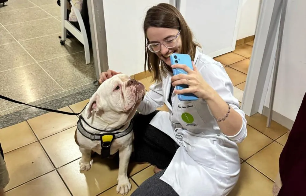 Cão terapeuta Mito leva afeto e alegria ao Hospital Cemil