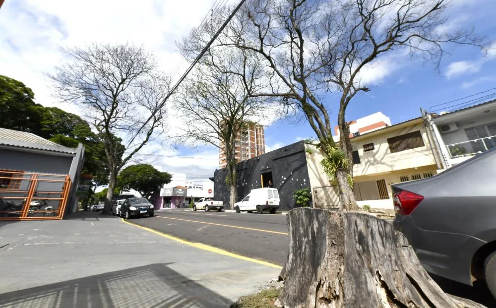 Meio Ambiente intensifica fiscalização e vai apurar possível envenenamento de árvores