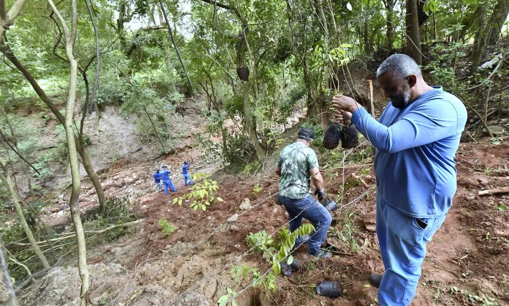 Meio Ambiente realiza plantio de árvores nativas para recuperar área degradada