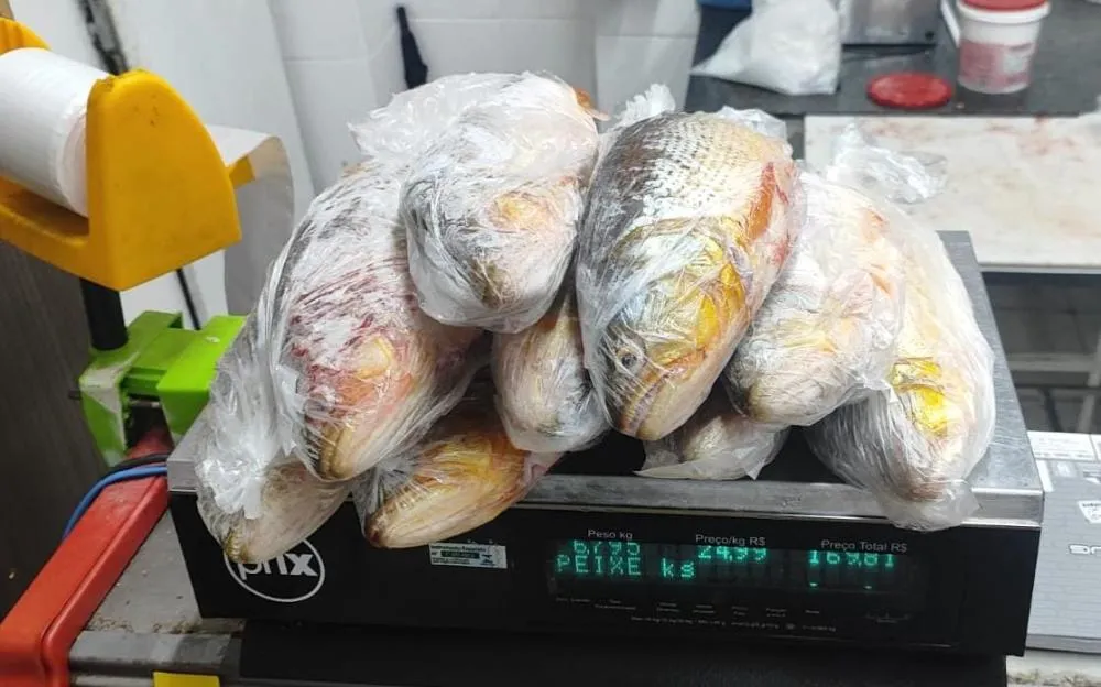 Supermercado que vendia peixe proibido é autuado pela Polícia Ambiental