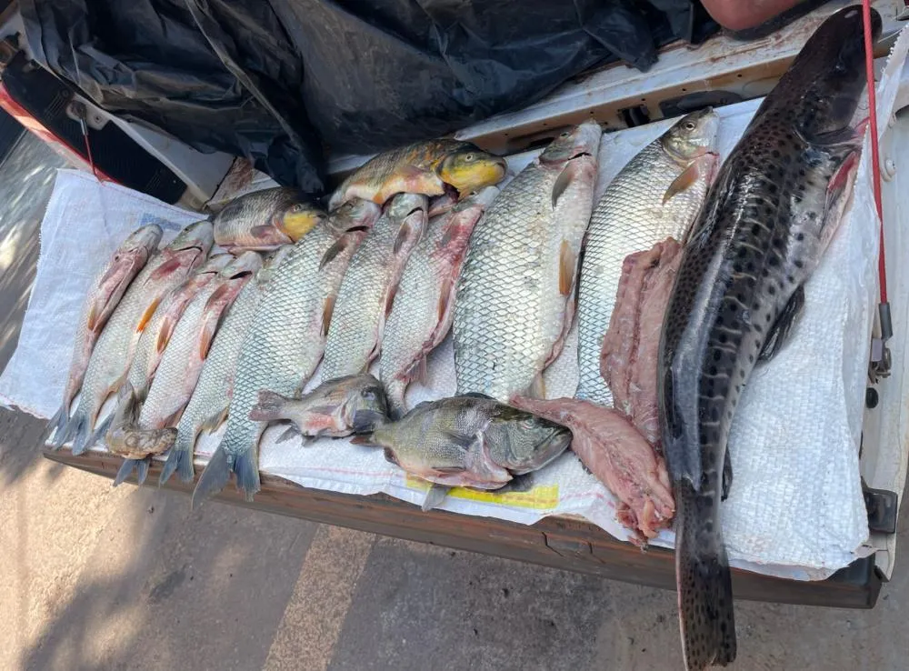Polícia Ambiental apreende pescado irregular e lança multa de quase R$ 5 mil