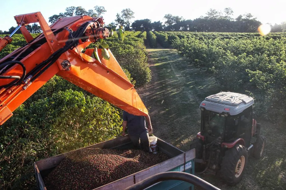 Deral traça panorama da safra de grãos no Paraná