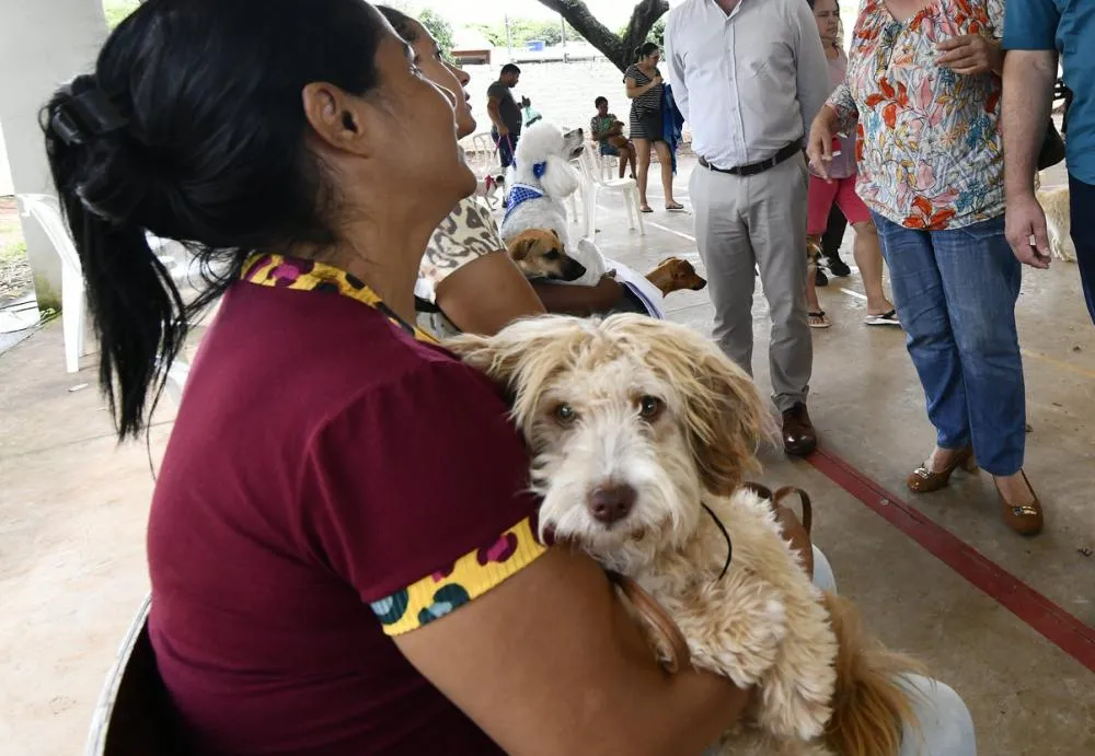 Projeto Melhor Amigo reabre cadastramento para castração de animais 