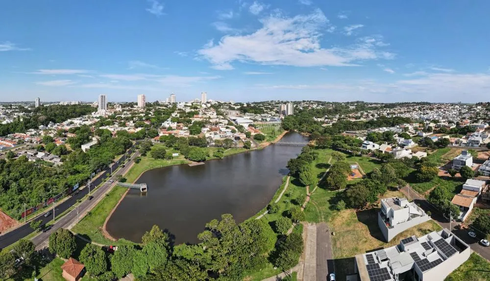 Destaque nacional em cobertura verde, Umuarama ganhará ainda mais árvores