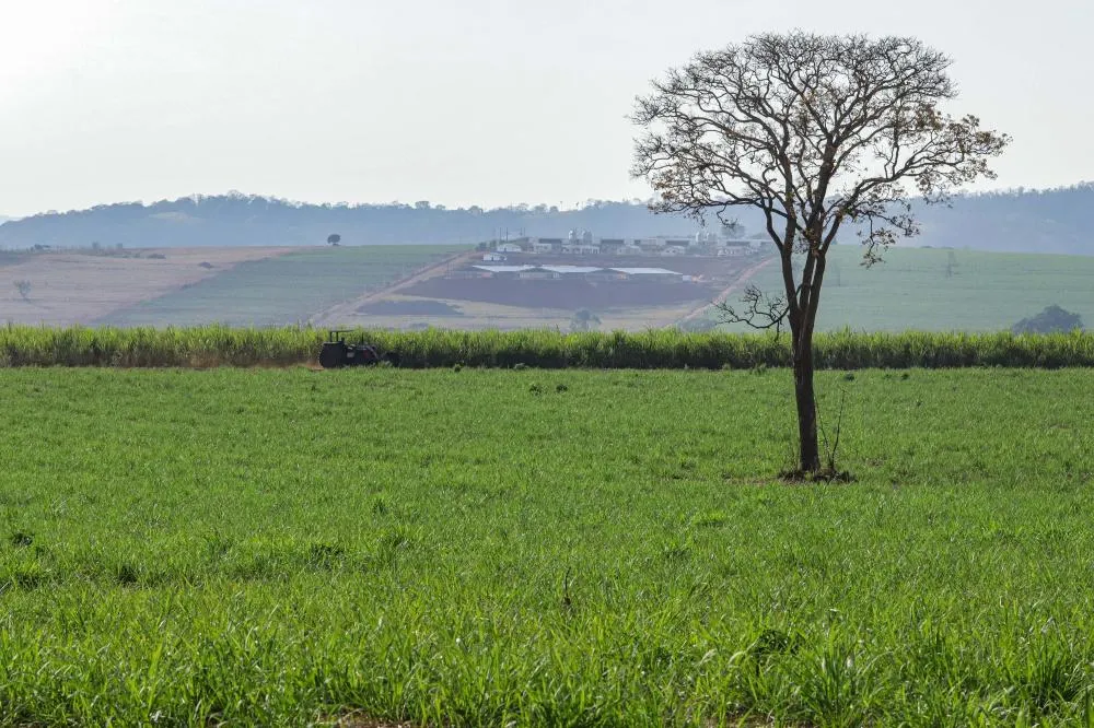 Deral apresenta preços de terras e a tabela repassada anualmente à Receita Federal