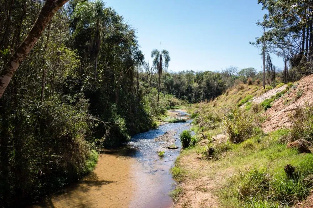 IFPR de Umuarama vai produzir mudas nativas para recuperar a APA do Rio Piava