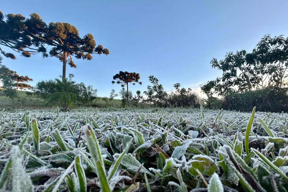 Primeira onda de frio chega ao Paraná semana que vem com termômetros perto de 0ºC