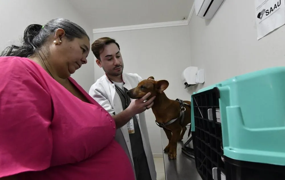 Lançado programa de castração gratuita para conter superpopulação de cães e gatos