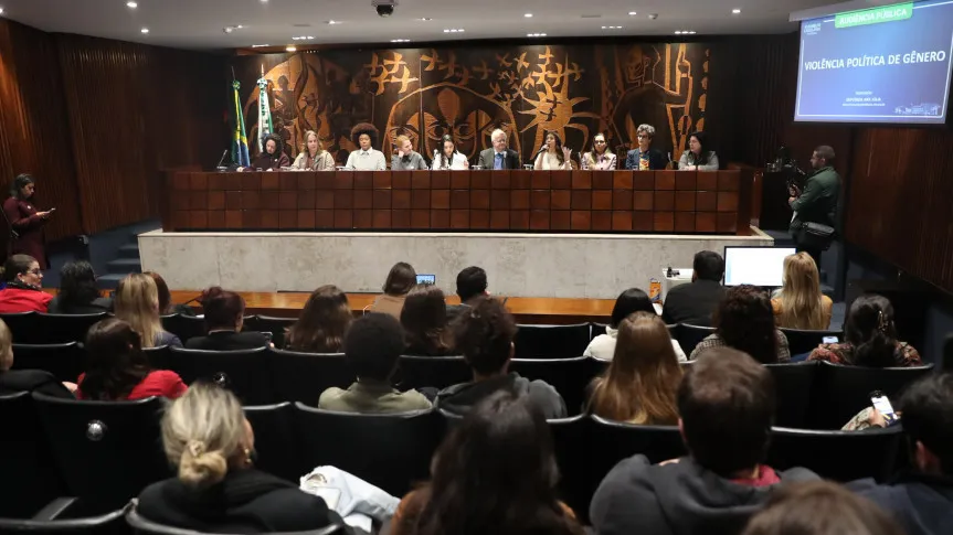 Audiência pública trata dos impactos da violência política de gênero